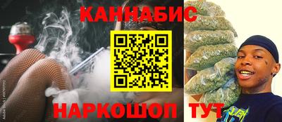 стаф Сланцы