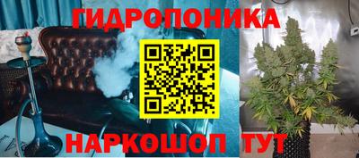 дживик Славгород