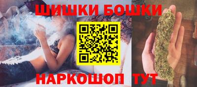 стаф Сланцы
