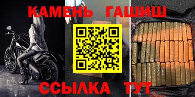 стаф Сланцы